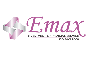 MaxSfx-responsive-website designing and development-services-DELHI-INDIA-emax-investment-financial-service